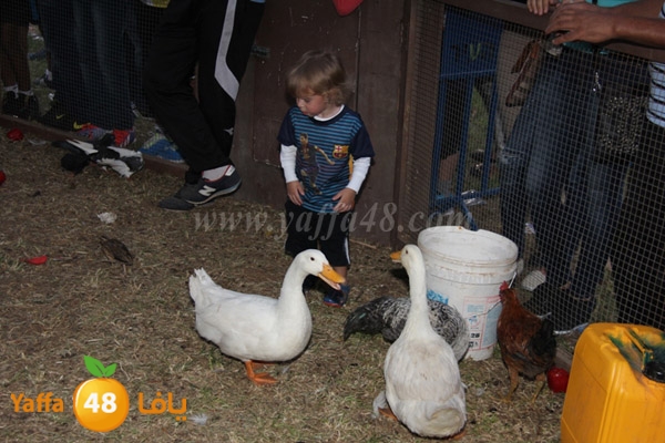 mahrajan thaqafa thirs (14).JPG